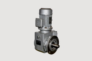 Flange Mounted with Solid Output Shaft