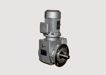 Flange Mounted with Solid Output Shaft
